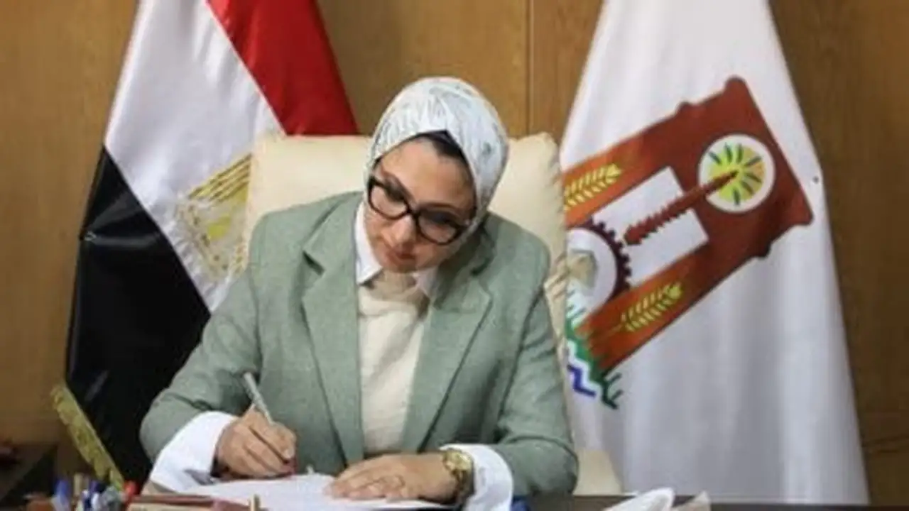 الوادى الجديد ترفع درجة الاستعداد القصوى لمواجهة تقلبات الطقس وحالة عدم الاستقرار